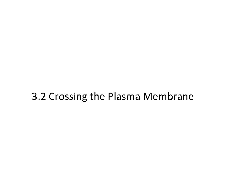 3. 2 Crossing the Plasma Membrane 