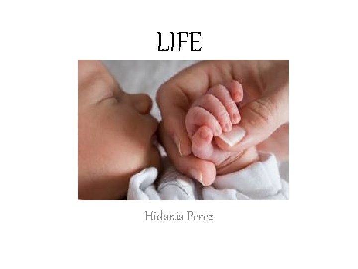 LIFE Hidania Perez 