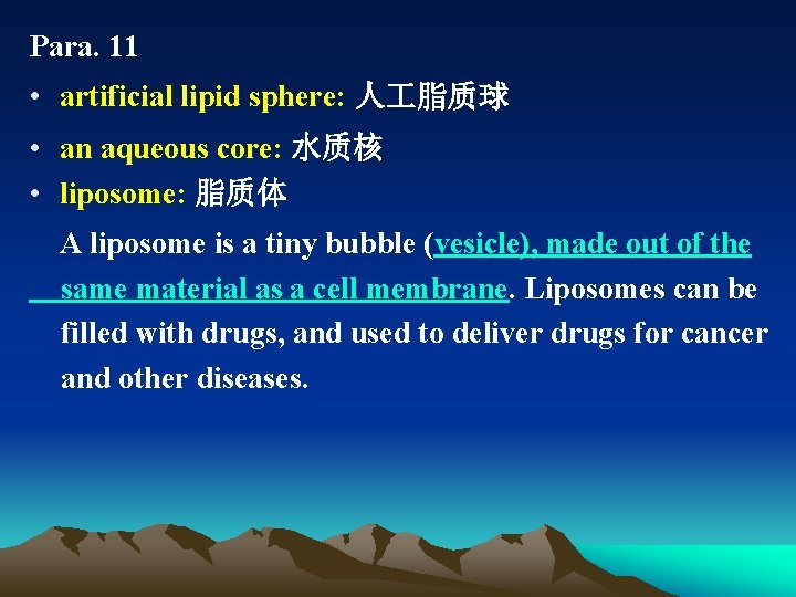 Para. 11 • artificial lipid sphere: 人 脂质球 • an aqueous core: 水质核 •