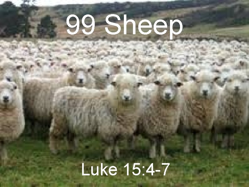 99 Sheep Luke 15: 4 -7 