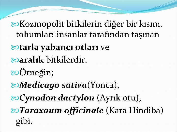  Kozmopolit bitkilerin diğer bir kısmı, tohumları insanlar tarafından taşınan tarla yabancı otları ve