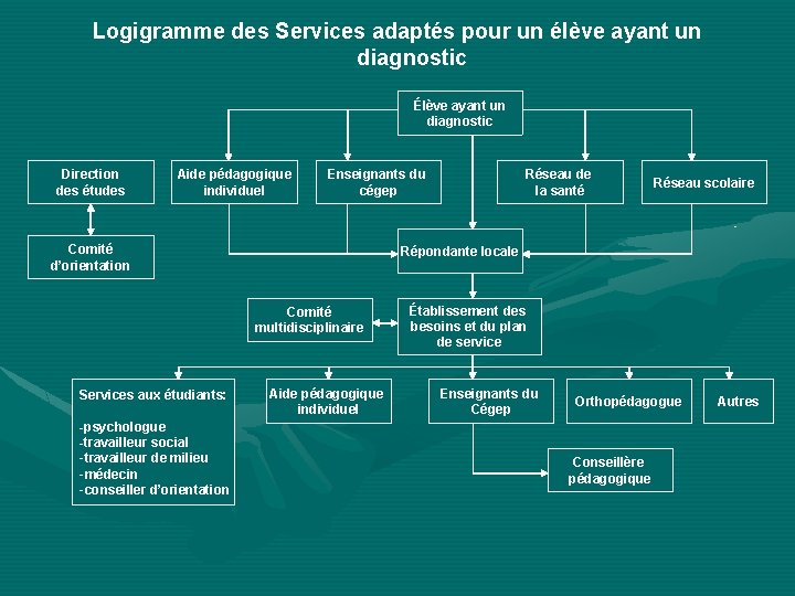 Logigramme des Services adaptés pour un élève ayant un diagnostic Élève ayant un diagnostic