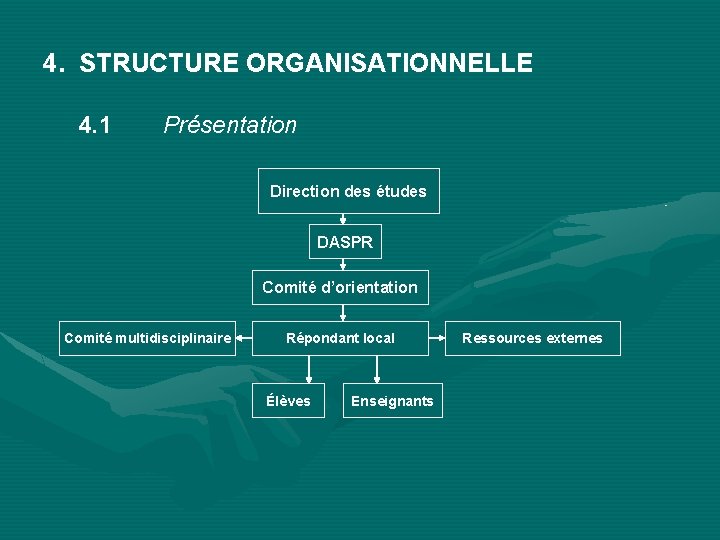 4. STRUCTURE ORGANISATIONNELLE 4. 1 Présentation Direction des études DASPR Comité d’orientation Comité multidisciplinaire
