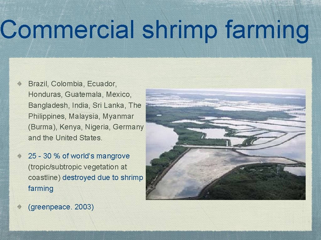 Commercial shrimp farming Brazil, Colombia, Ecuador, Honduras, Guatemala, Mexico, Bangladesh, India, Sri Lanka, The