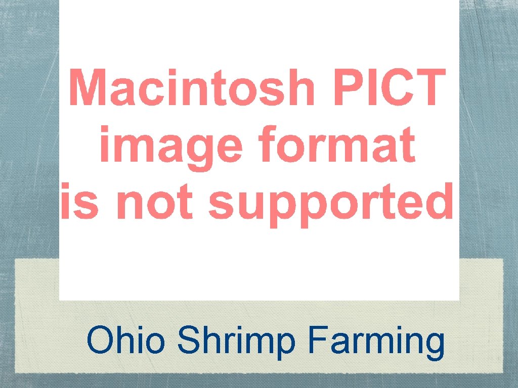 Ohio Shrimp Farming 