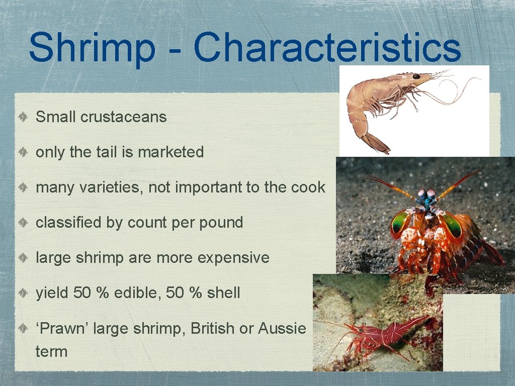 Shrimp - Characteristics Small crustaceans only the tail is marketed many varieties, not important