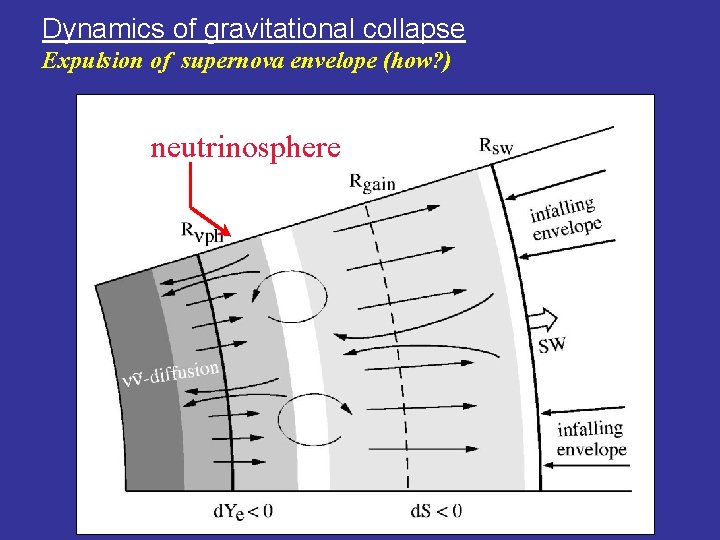 Dynamics of gravitational collapse Expulsion of supernova envelope (how? ) neutrinosphere 