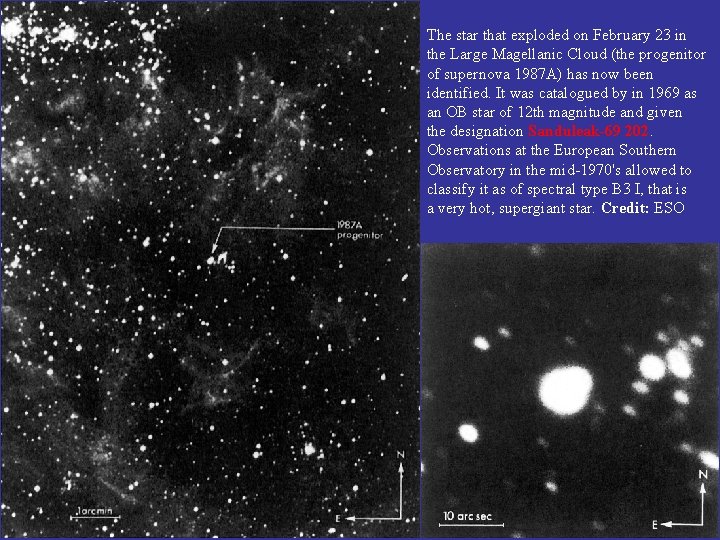 The star that exploded on February 23 in the Large Magellanic Cloud (the progenitor