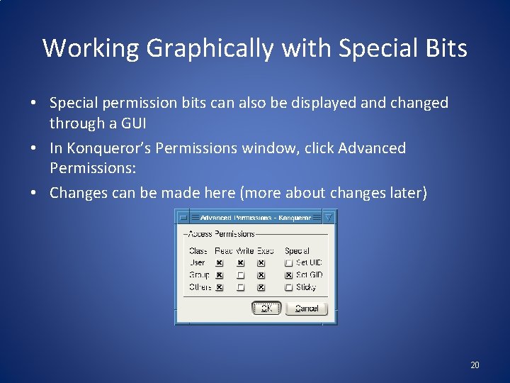 Working Graphically with Special Bits • Special permission bits can also be displayed and