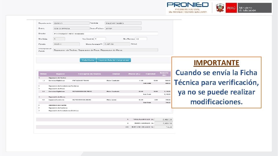 IMPORTANTE Cuando se envía la Ficha Técnica para verificación, ya no se puede realizar