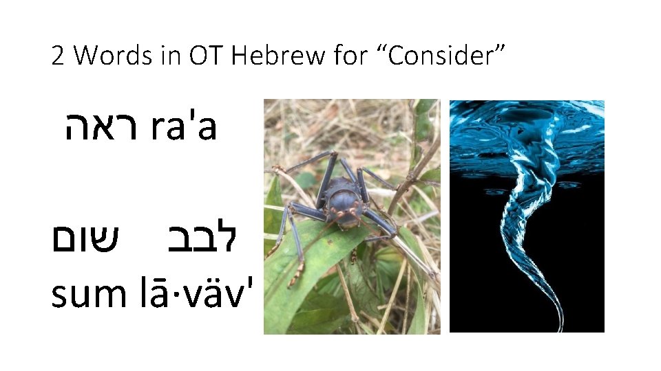 2 Words in OT Hebrew for “Consider” ראה ra'a לבב שום sum lā·väv' 