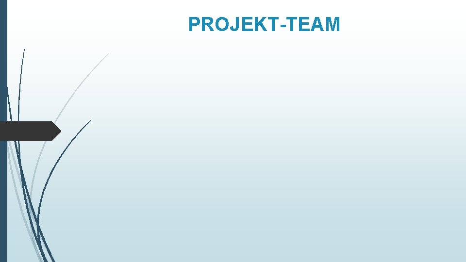 PROJEKT-TEAM 