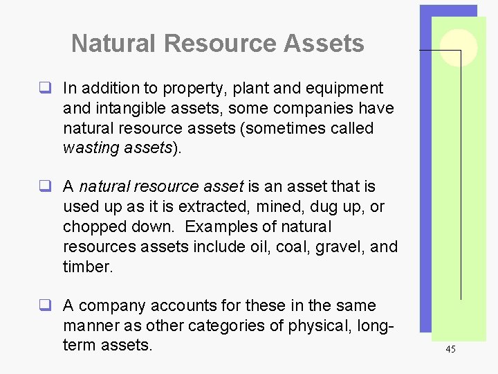 Natural Resource Assets q In addition to property, plant and equipment and intangible assets,