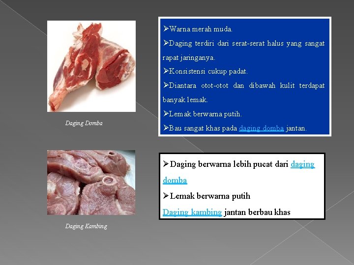 ØWarna merah muda. ØDaging terdiri dari serat-serat halus yang sangat rapat jaringanya. ØKonsistensi cukup ØWarna merah muda. ØDaging terdiri dari serat-serat halus yang sangat rapat jaringanya. ØKonsistensi cukup
