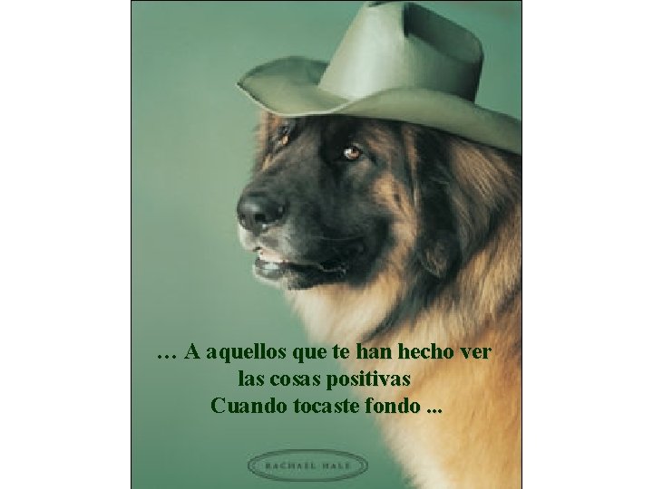 … A aquellos que te han hecho ver las cosas positivas Cuando tocaste fondo.