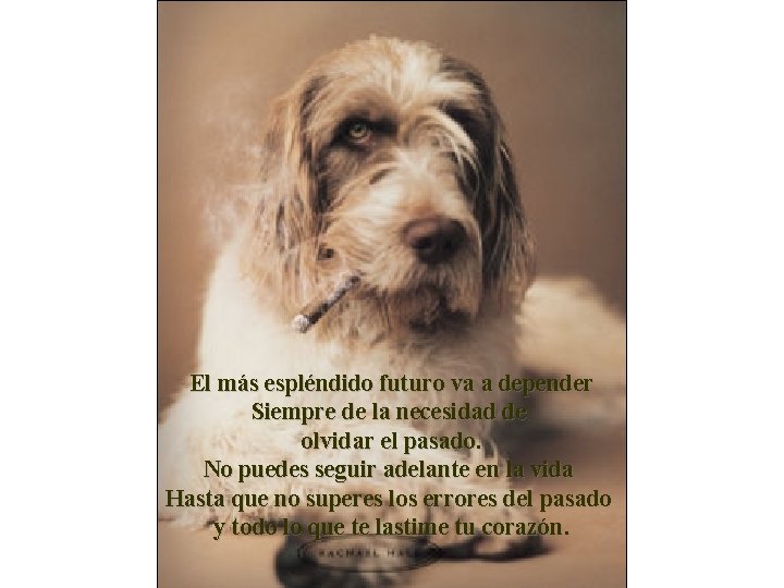 El más espléndido futuro va a depender Siempre de la necesidad de olvidar el El más espléndido futuro va a depender Siempre de la necesidad de olvidar el