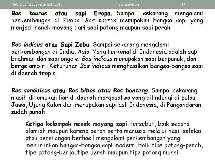 teknologi produksi ternak, 2017 dwi pagesti s 11 Bos taurus atau sapi Eropa. Sampai