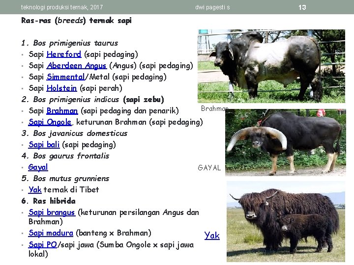 teknologi produksi ternak, 2017 dwi pagesti s Ras-ras (breeds) ternak sapi 1. Bos primigenius