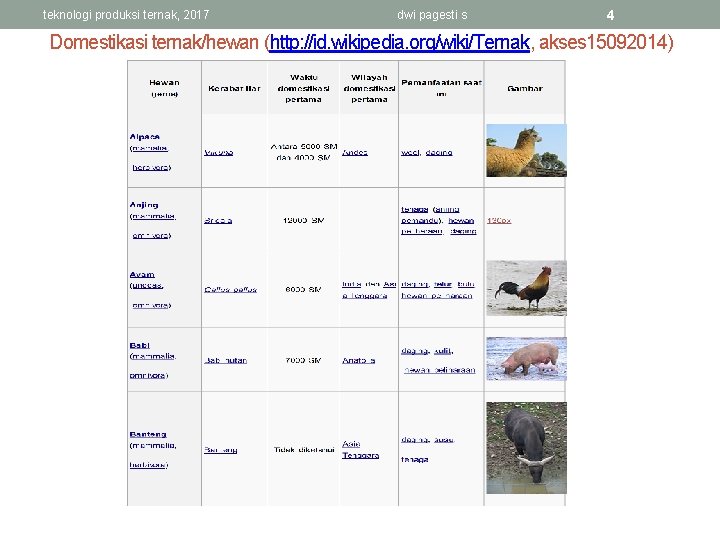 teknologi produksi ternak, 2017 dwi pagesti s 4 Domestikasi ternak/hewan (http: //id. wikipedia. org/wiki/Ternak,