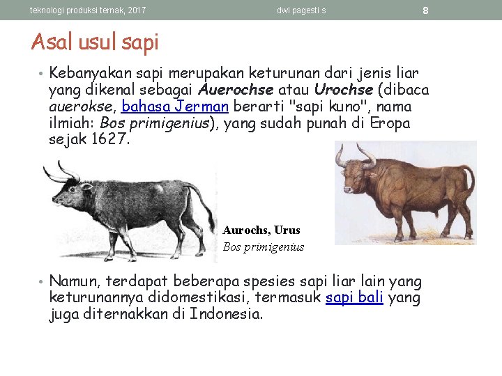 teknologi produksi ternak, 2017 dwi pagesti s 8 Asal usul sapi • Kebanyakan sapi