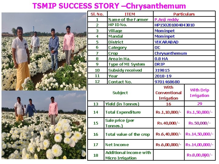 TSMIP SUCCESS STORY –Chrysanthemum Photo– 1 Sl. No. 1 2 3 4 5 6