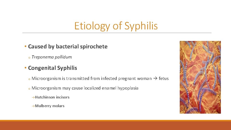 Etiology of Syphilis • Caused by bacterial spirochete o Treponema pallidum • Congenital Syphilis