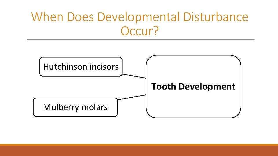 When Does Developmental Disturbance Occur? Hutchinson incisors Tooth Development Mulberry molars 