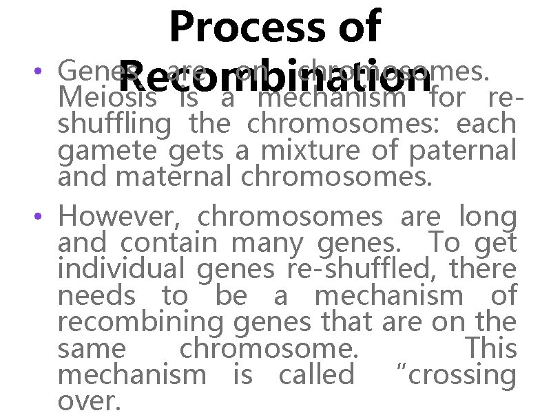  • Process of Genes are on chromosomes. Recombination Meiosis is a mechanism for