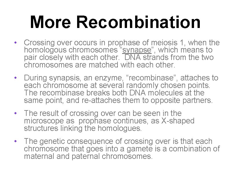 More Recombination • Crossing over occurs in prophase of meiosis 1, when the homologous