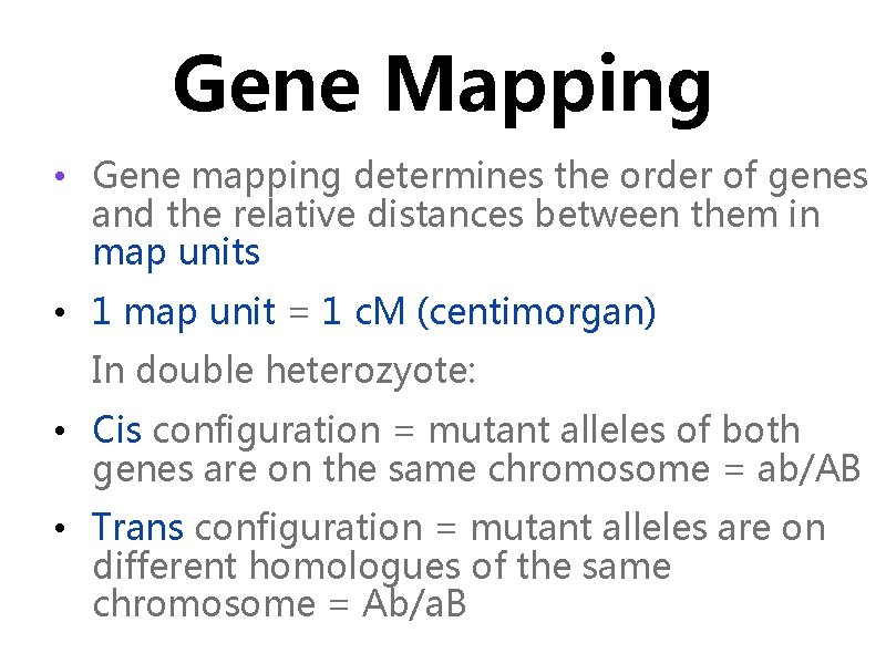 Gene Mapping • Gene mapping determines the order of genes and the relative distances