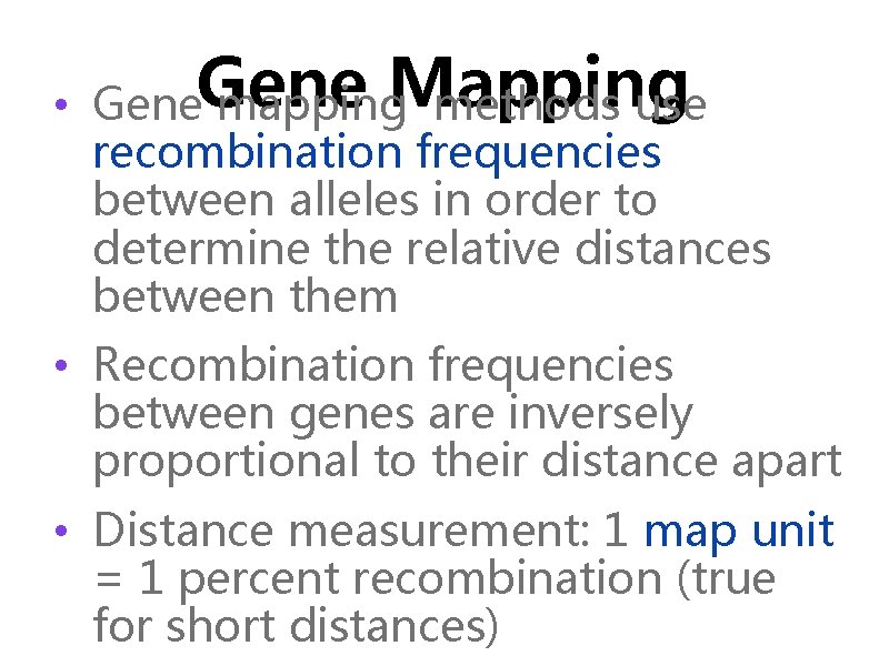  • Gene mapping. Mapping methods use recombination frequencies between alleles in order to