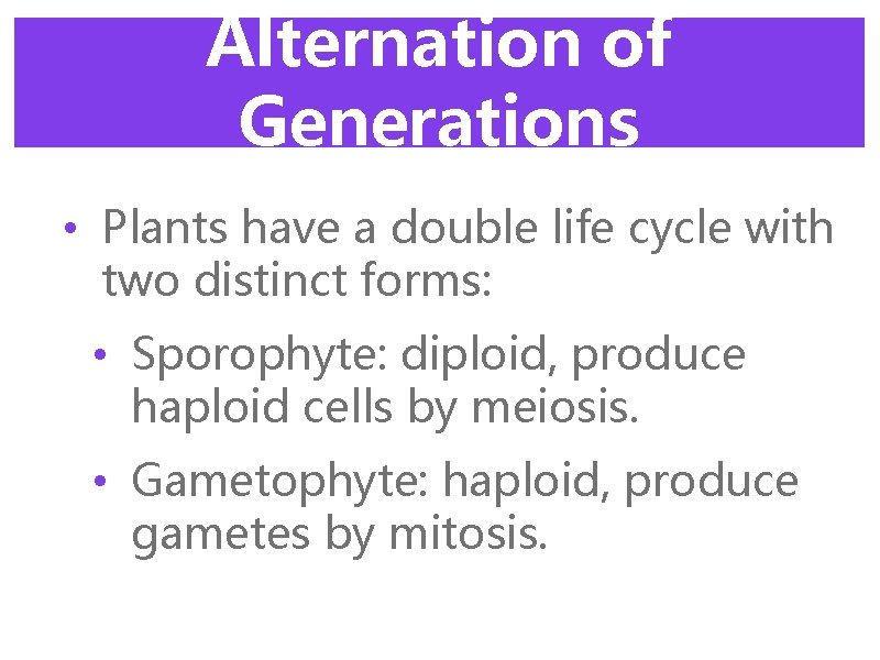 Alternation of Generations • Plants have a double life cycle with two distinct forms: