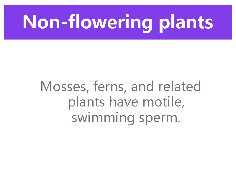 Non-flowering plants Mosses, ferns, and related plants have motile, swimming sperm. 