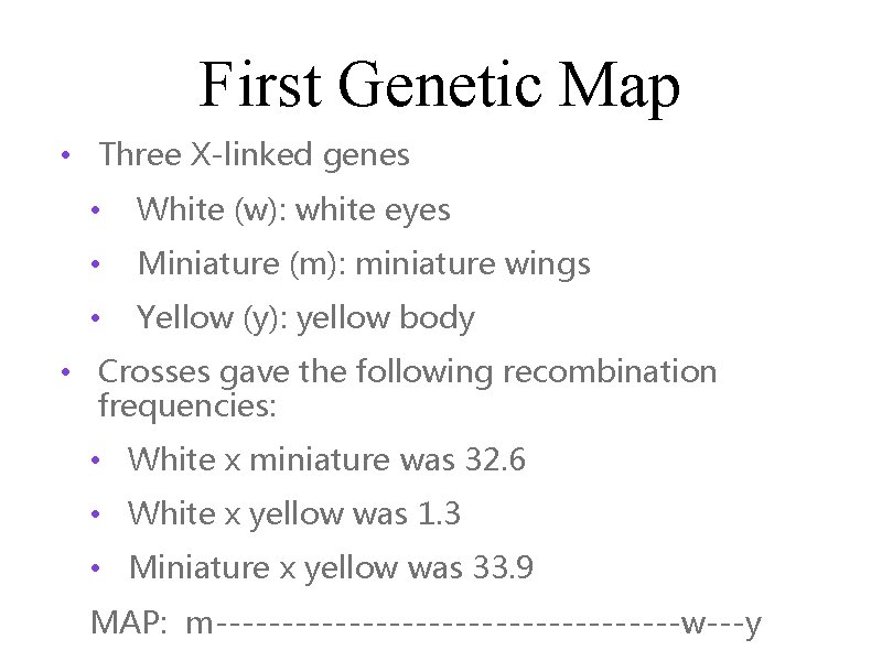 First Genetic Map • Three X-linked genes • White (w): white eyes • Miniature