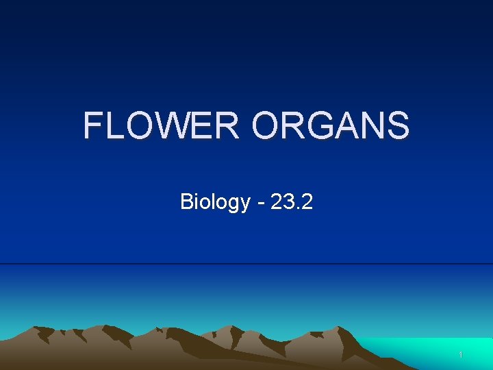 FLOWER ORGANS Biology - 23. 2 1 