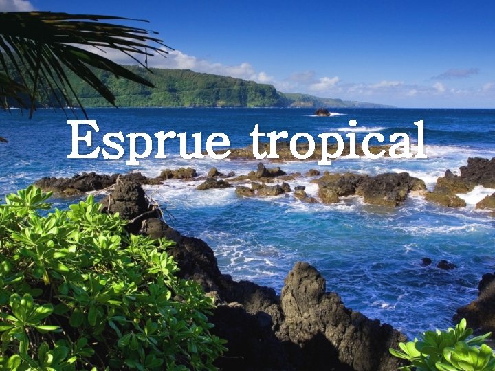 Esprue tropical 