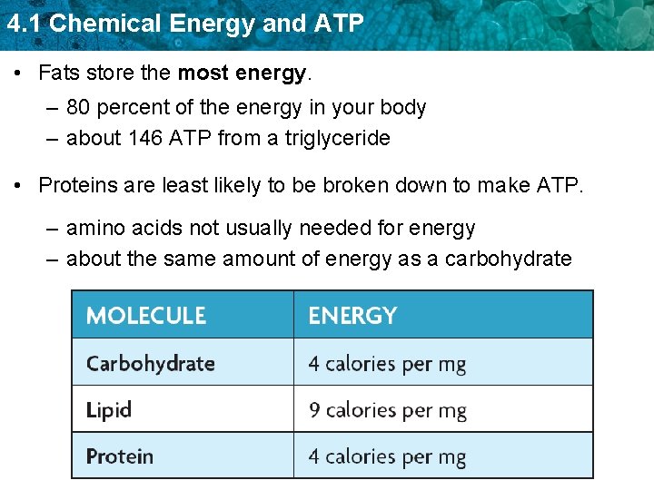 4. 1 Chemical Energy and ATP • Fats store the most energy. – 80 4. 1 Chemical Energy and ATP • Fats store the most energy. – 80