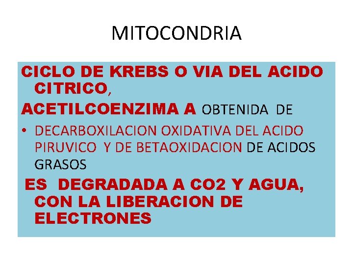 MITOCONDRIA CICLO DE KREBS O VIA DEL ACIDO CITRICO, ACETILCOENZIMA A OBTENIDA DE • MITOCONDRIA CICLO DE KREBS O VIA DEL ACIDO CITRICO, ACETILCOENZIMA A OBTENIDA DE •