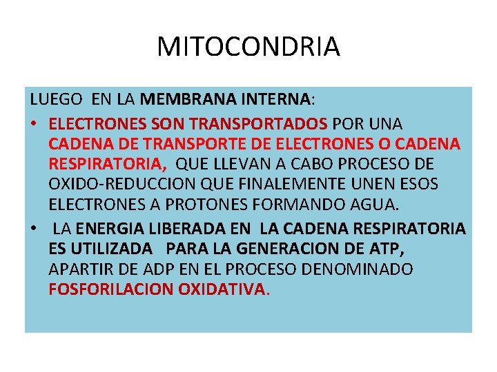 MITOCONDRIA LUEGO EN LA MEMBRANA INTERNA: • ELECTRONES SON TRANSPORTADOS POR UNA CADENA DE MITOCONDRIA LUEGO EN LA MEMBRANA INTERNA: • ELECTRONES SON TRANSPORTADOS POR UNA CADENA DE