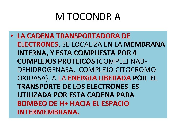 MITOCONDRIA • LA CADENA TRANSPORTADORA DE ELECTRONES, SE LOCALIZA EN LA MEMBRANA INTERNA, Y MITOCONDRIA • LA CADENA TRANSPORTADORA DE ELECTRONES, SE LOCALIZA EN LA MEMBRANA INTERNA, Y