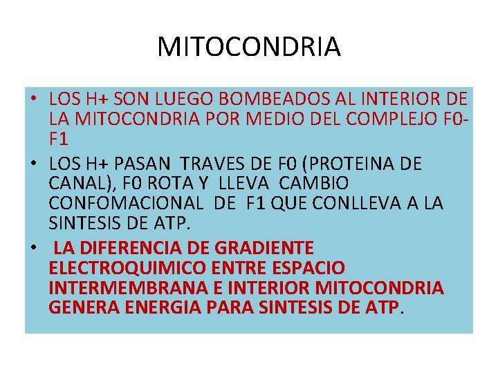 MITOCONDRIA • LOS H+ SON LUEGO BOMBEADOS AL INTERIOR DE LA MITOCONDRIA POR MEDIO MITOCONDRIA • LOS H+ SON LUEGO BOMBEADOS AL INTERIOR DE LA MITOCONDRIA POR MEDIO