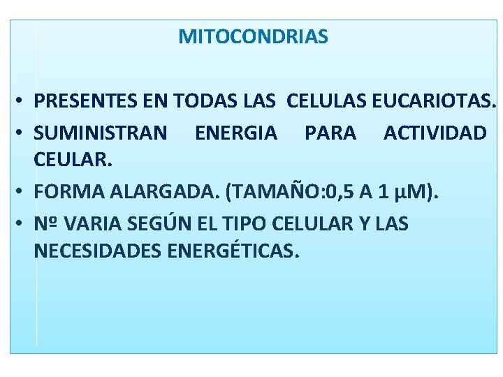 MITOCONDRIAS • PRESENTES EN TODAS LAS CELULAS EUCARIOTAS. • SUMINISTRAN ENERGIA PARA ACTIVIDAD CEULAR. MITOCONDRIAS • PRESENTES EN TODAS LAS CELULAS EUCARIOTAS. • SUMINISTRAN ENERGIA PARA ACTIVIDAD CEULAR.