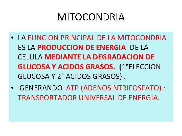 MITOCONDRIA • LA FUNCION PRINCIPAL DE LA MITOCONDRIA ES LA PRODUCCION DE ENERGIA DE MITOCONDRIA • LA FUNCION PRINCIPAL DE LA MITOCONDRIA ES LA PRODUCCION DE ENERGIA DE