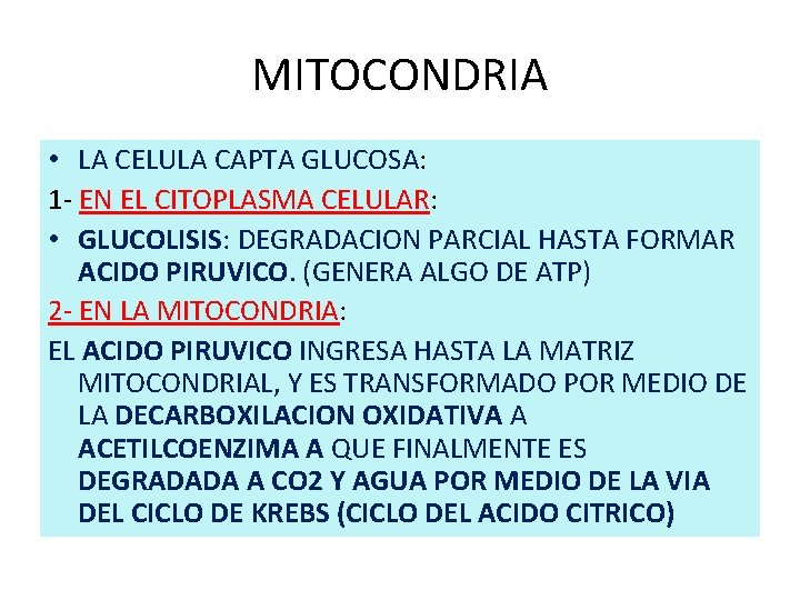 MITOCONDRIA • LA CELULA CAPTA GLUCOSA: 1 - EN EL CITOPLASMA CELULAR: • GLUCOLISIS: MITOCONDRIA • LA CELULA CAPTA GLUCOSA: 1 - EN EL CITOPLASMA CELULAR: • GLUCOLISIS: