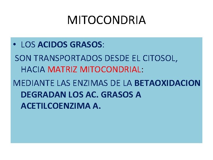 MITOCONDRIA • LOS ACIDOS GRASOS: SON TRANSPORTADOS DESDE EL CITOSOL, HACIA MATRIZ MITOCONDRIAL: MEDIANTE MITOCONDRIA • LOS ACIDOS GRASOS: SON TRANSPORTADOS DESDE EL CITOSOL, HACIA MATRIZ MITOCONDRIAL: MEDIANTE