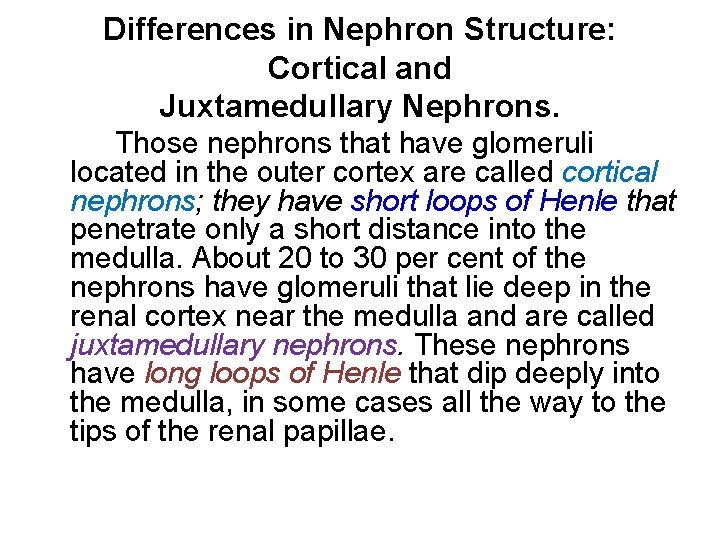 Differences in Nephron Structure: Cortical and Juxtamedullary Nephrons. Those nephrons that have glomeruli located