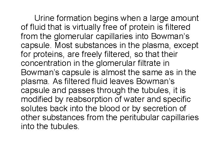 Urine formation begins when a large amount of fluid that is virtually free of