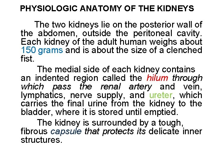 PHYSIOLOGIC ANATOMY OF THE KIDNEYS The two kidneys lie on the posterior wall of