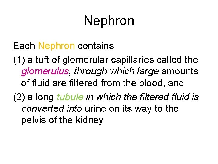Nephron Each Nephron contains (1) a tuft of glomerular capillaries called the glomerulus, through