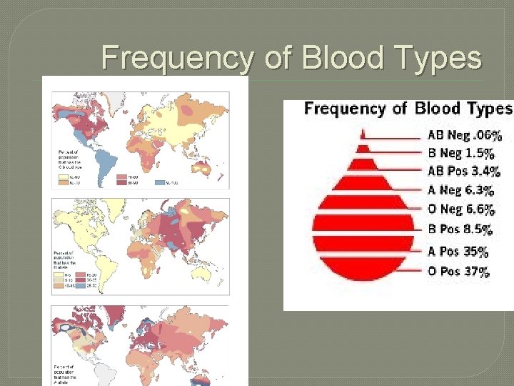 Frequency of Blood Types 